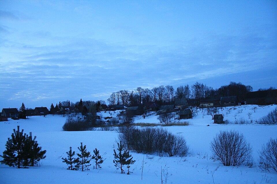 Файл:Winter in Kamajėliai, Lithuania.jpg